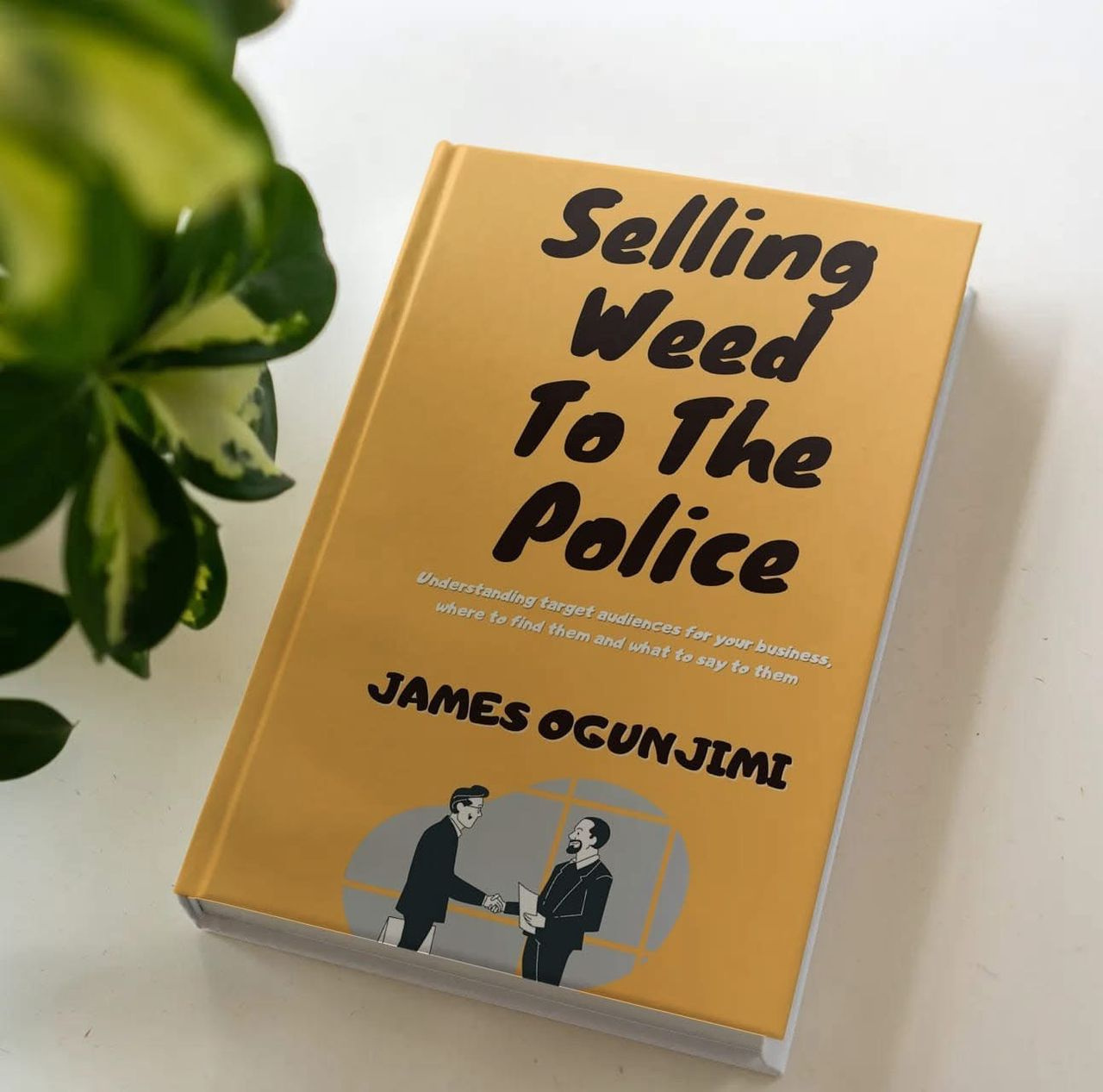 Selling Weed to the Police